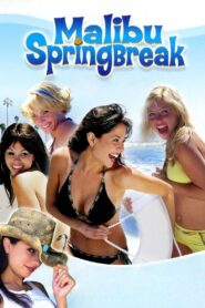 Malibu Spring Break 2003 on netflix