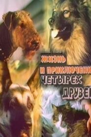 The Adventures of Four Friends 1980 on netflix