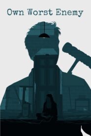 Own Worst Enemy 2012 on netflix