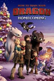 How to Train Your Dragon: Homecoming 2019 on netflix