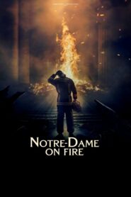 Notre-Dame on Fire 2022 on netflix