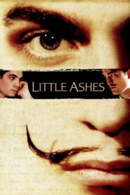 Little Ashes 2008 on netflix