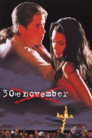 November 30th 1995 on netflix