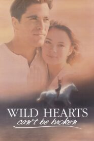 Wild Hearts Can’t Be Broken 1991 on netflix