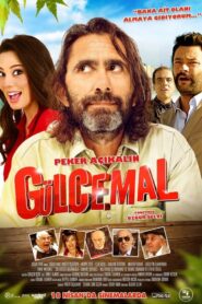 Gülcemal 2014 on netflix