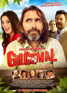 Gülcemal 2014 on netflix