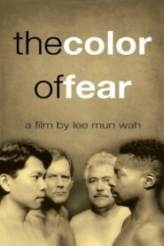 The Color of Fear 1994 on netflix
