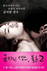 Forbidden Sex: Affair 2 2012 on netflix