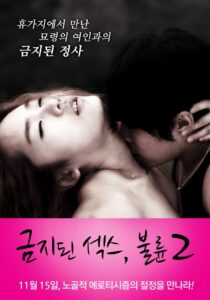 Forbidden Sex: Affair 2 2012 on netflix