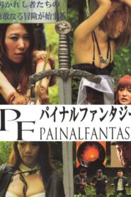 Painal Fantasy 2017 on netflix