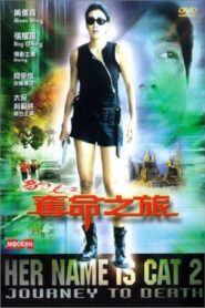 Her Name Is Cat 2: Journey To Death 2001 on netflix