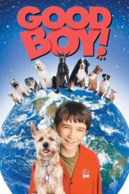 Good Boy! 2003 on netflix