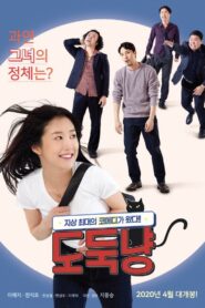 A Stray Cat 2020 on netflix