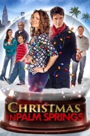 Christmas In Palm Springs 2014 on netflix