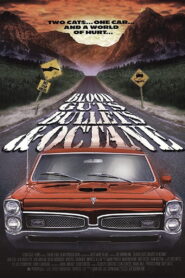 Blood, Guts, Bullets and Octane 1998 on netflix