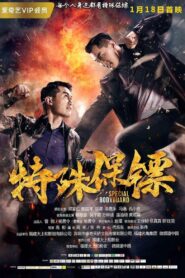Special Bodyguard 2019 on netflix