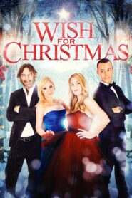 Wish for Christmas 2016 on netflix