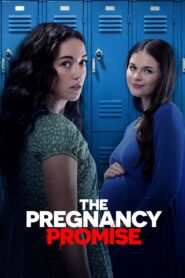 The Pregnancy Promise 2023 on netflix