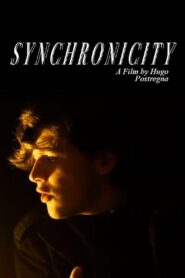 Synchronicity 2020 on netflix