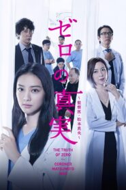 Truth of Zero 2014 on netflix