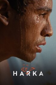 Harka 2022 on netflix