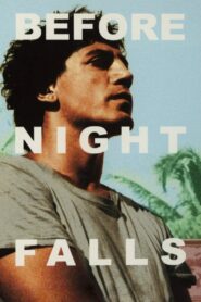 Before Night Falls 2000 on netflix