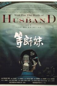 Wait for the Birth of the Husband 2007 on netflix
