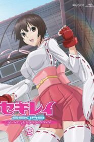 Sekirei Pure Engagement Special 2010 on netflix