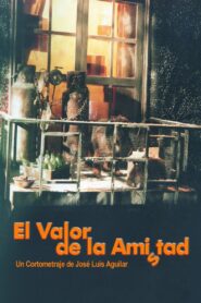 El valor de la amistad 2000 on netflix