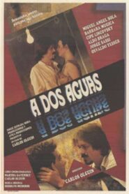 A dos aguas 1988 on netflix