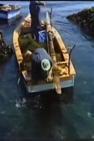 Fishing Moon 1980 on netflix