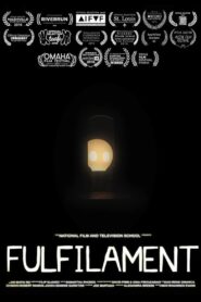 Fulfilament 2015 on netflix