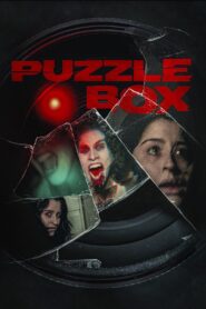 Puzzle Box 2023 on netflix