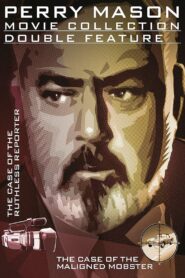 Perry Mason: The Case of the Ruthless Reporter 1991 on netflix