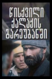 A Mill in Suburb of the City 1981 on netflix