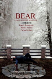 The Bear 2012 on netflix