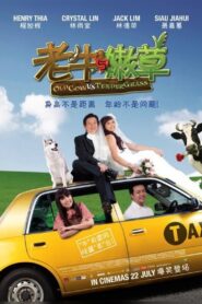 Old Cow Vs Tender Grass 2010 on netflix