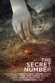 The Secret Number 2012 on netflix