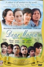 Dear Mama 1984 on netflix