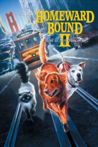 Homeward Bound II: Lost in San Francisco 1996 on netflix