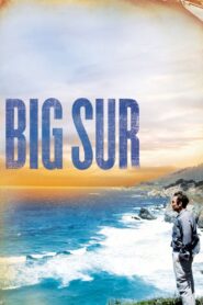 Big Sur 2013 on netflix