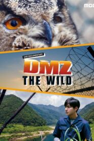 DMZ, The Wild 2017 on netflix