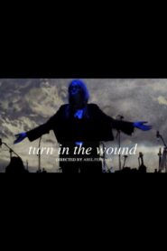 Turn in the Wound 2024 on netflix