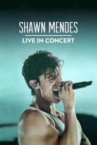 Shawn Mendes: Live in Concert 2020 on netflix