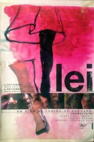 Lei 2002 on netflix