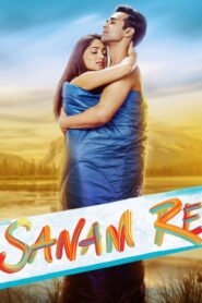 Sanam Re 2016 on netflix