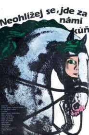 Don’t Look Back, There Is a Horse Behind Us 1981 on netflix
