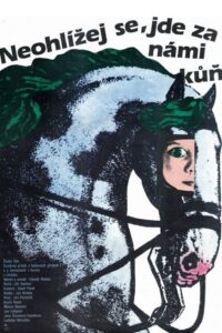 Don’t Look Back, There Is a Horse Behind Us 1981 on netflix