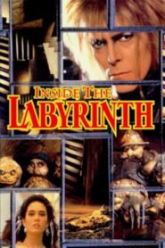 Inside the Labyrinth 1986 on netflix