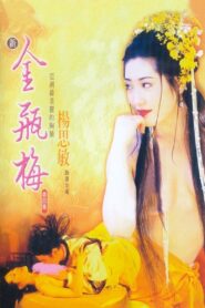 New Golden Lotus IV 1996 on netflix